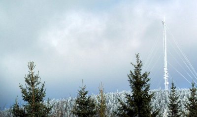 P1000545.JPG