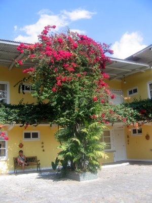 Pour la fin de semaine, nous logeons  l'Htel Paradise Inn  Panajachel sur le bord du lac Atitlan.      IMG_3264.JPG