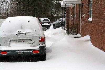 IMAGINE (bumper) snow in New England