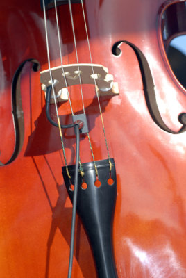 Jason Wilson, double bass - James Hunter band