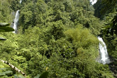 Twin Trafalgar Falls - Morne Trois Pitons National Park - Roseau, Dominica