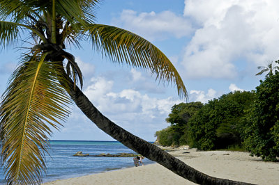 Sprat Hall Beach, St. Croix