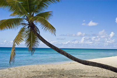 Sprat Hall Beach, St. Croix
