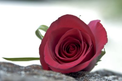 Boutonniere