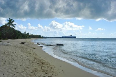 The Westerdam from Sprat Hall Beach, St. Croix