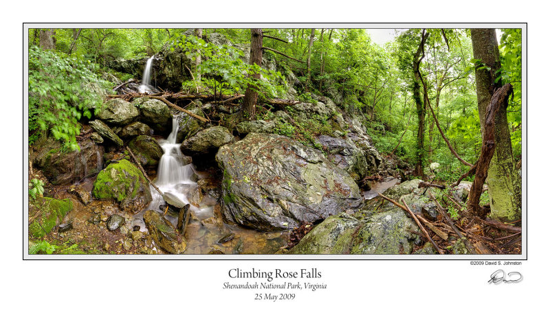 Climbing Rose Falls.jpg