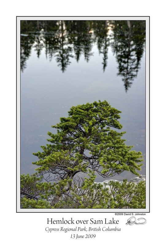Hemlock over Sam Lake.jpg