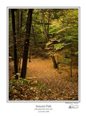 Autumn Path.jpg
