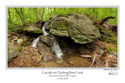 Cascade on Climbing Rose Creek.jpg