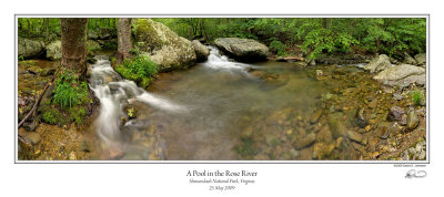Rose River Pool.jpg