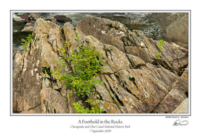 Foothold in  Rocks.jpg