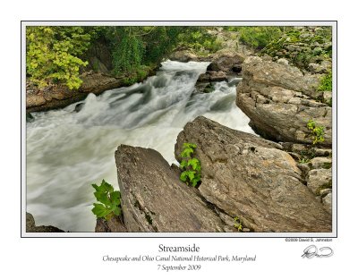 Streamside Great Falls.jpg