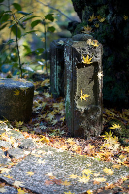 Narita Temple