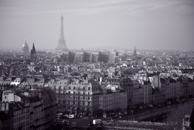 View from Notre Dame de Paris