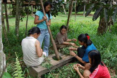 Olivis pounding sweet potato leaves for dinner.