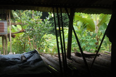 A view from our hut. There is no room here, all open area, no even wall