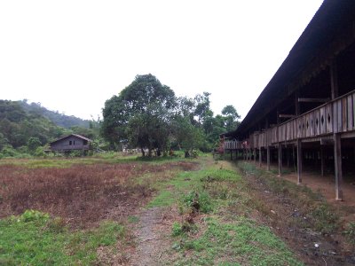 The longhouse have 15 bilek