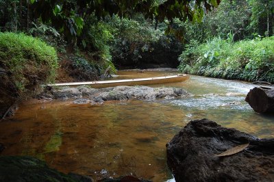 DSC_0207.JPG