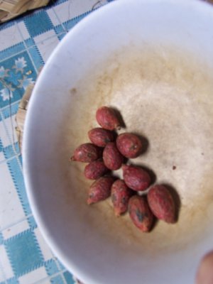 LOcal fruit