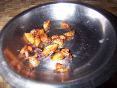 Fried sago worms