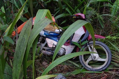 Motorbike used by Abet, chiefs daughter to bring her kids to Seridan. She went to Seridan on Sat and Sun to meet her son but was