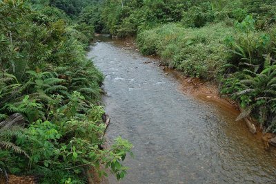 DSC_0281.JPG