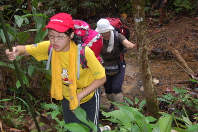 It is quite easy walk thru small streams and rocks. Mostly flat.