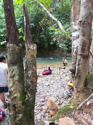 Sg Bukit , which Nyiok mentioned that the water is cold and safe to drink.