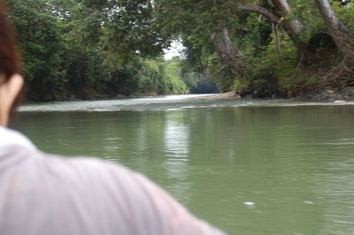 Clear water and overhanging trees.
