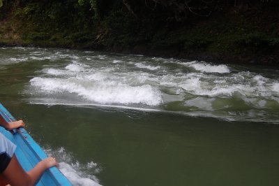DSC_0388.JPG