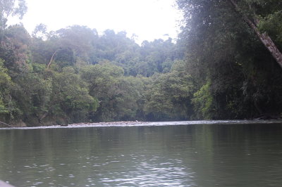 Some of the scenery are just beautiful.