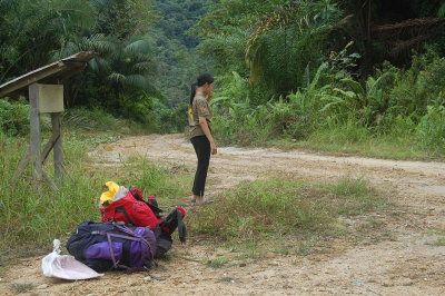 You can wait the whole day and there is no vehicle.