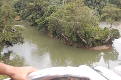 Can see the big river from the timber track.