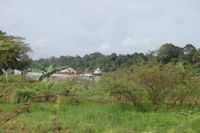 DSC_0540.JPG