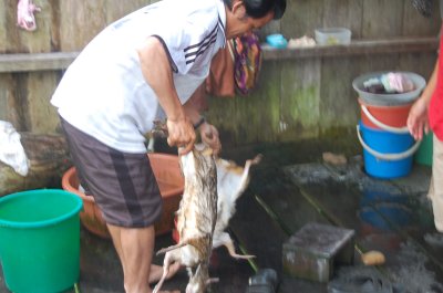 Washing after being skinned.