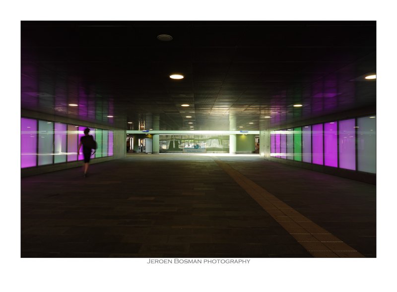 Colourdor