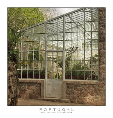 Greenhouse at Quinta da Regaleira