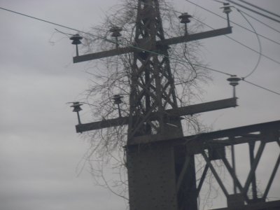 g1/07/733807/3/93249824.HYUt2TtV.jpg