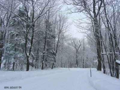 Mont-Royal