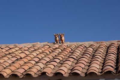 Toritos de Pucara