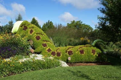 Mosaiculture chenille