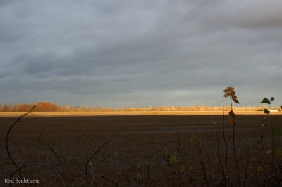 Paysage