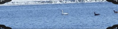 g1/07/735107/3/132250718.nDOaWihD.jpg
