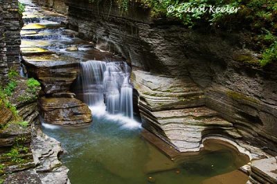 Ithaca Has Gorges