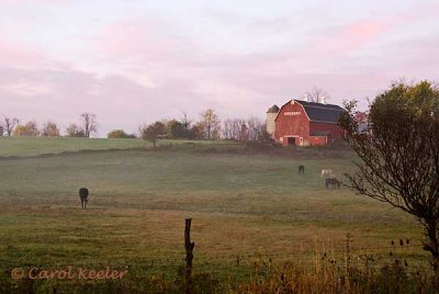 The Gregory Farm at Dawn