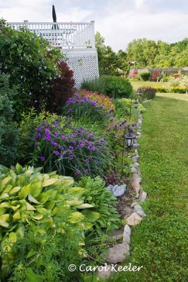 Another View of Garden Beneath My Room