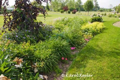 Island Garden in Front of House