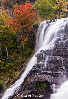 Section of Ithaca Falls with Red Tree