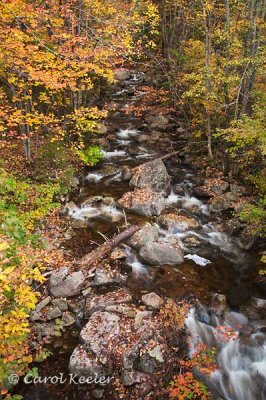 Adirondack Mountain Stream