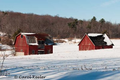 Ithaca Red Barns